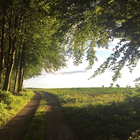 Ferienwohnung Pagel Riedenburg Luaran gambar